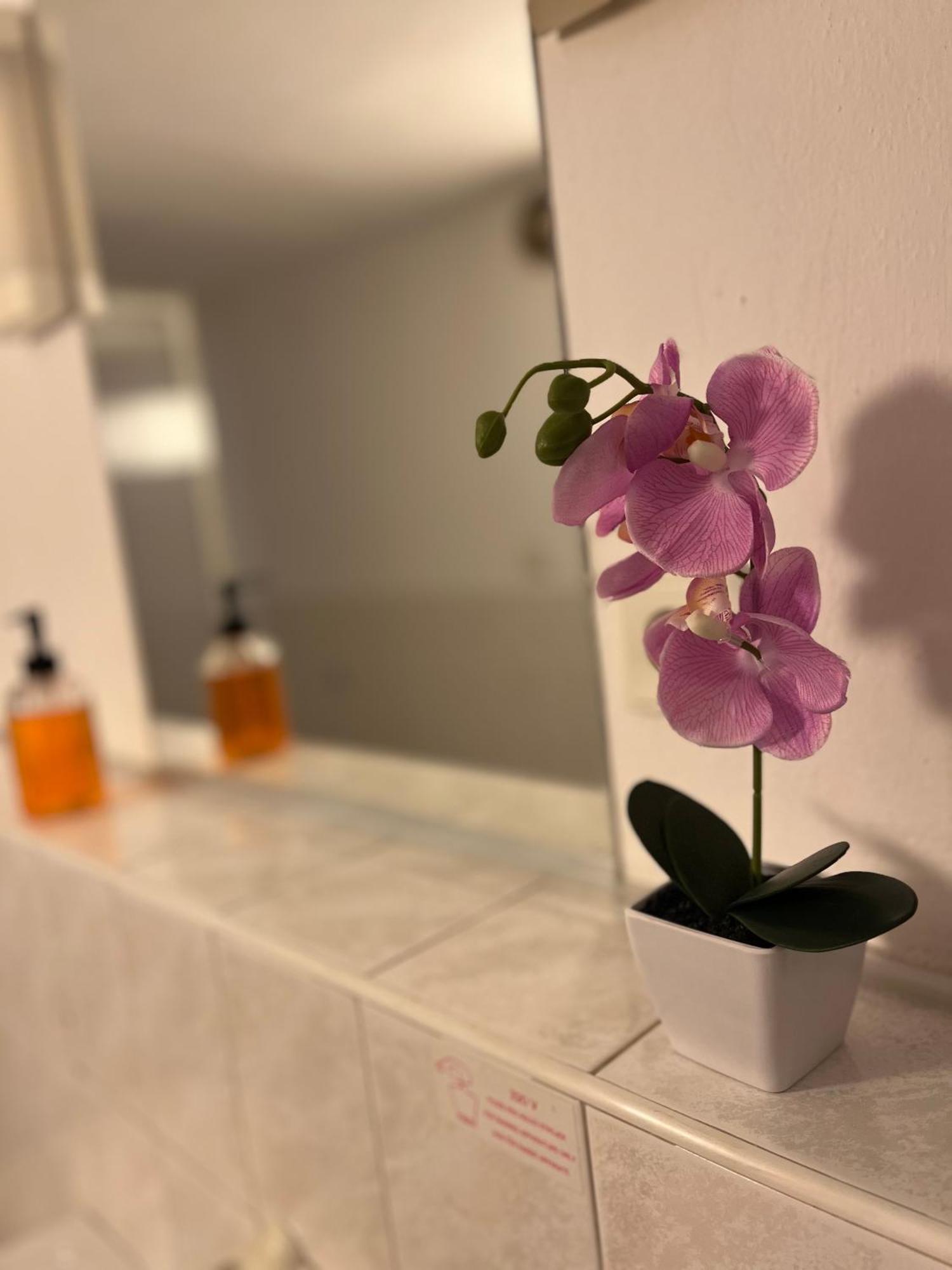 Apartmany Baroko Broumov Eksteriør billede